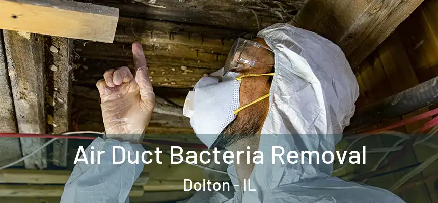  Air Duct Bacteria Removal Dolton - IL