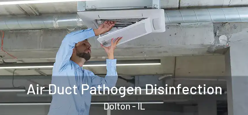  Air Duct Pathogen Disinfection Dolton - IL