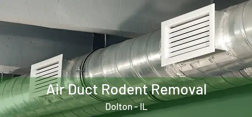  Air Duct Rodent Removal Dolton - IL