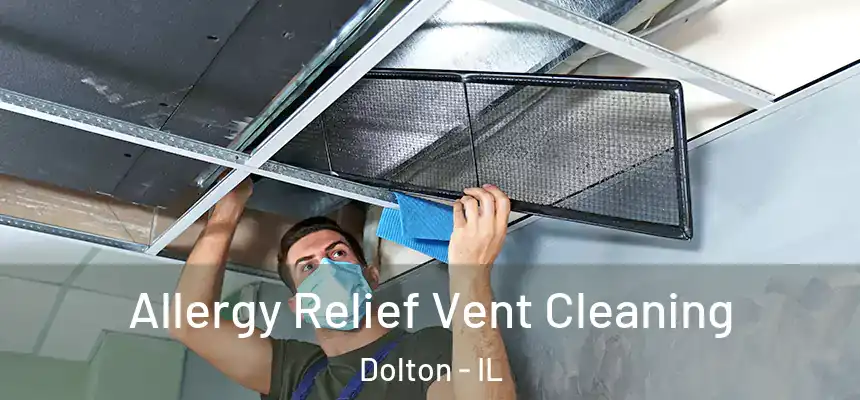  Allergy Relief Vent Cleaning Dolton - IL