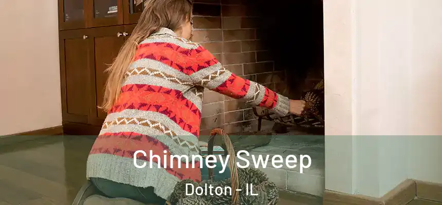  Chimney Sweep Dolton - IL