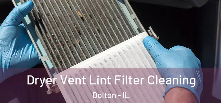  Dryer Vent Lint Filter Cleaning Dolton - IL