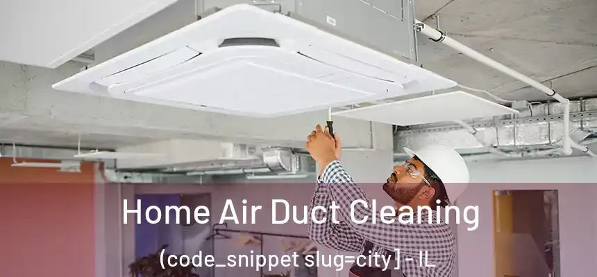  Home Air Duct Cleaning (code_snippet slug=city] - IL