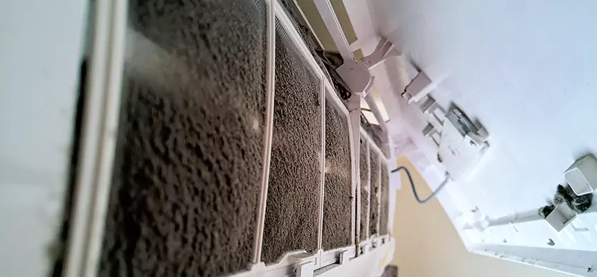 Preventive Air Duct Bacteria Removal in Dolton