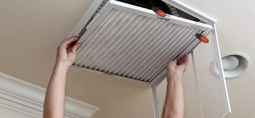 Preventive Cockroach-Proofing for Ducts in Dolton