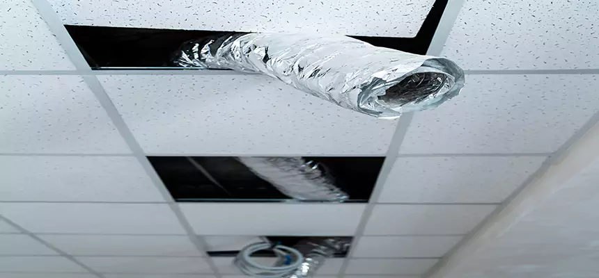 Affordable HVAC Sanitizing After Pest Removal in Dolton