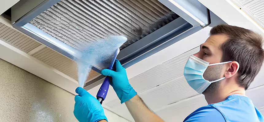 Proactive Dryer Vent & Auxiliary Duct Pollen Cleanup in Dolton, IL