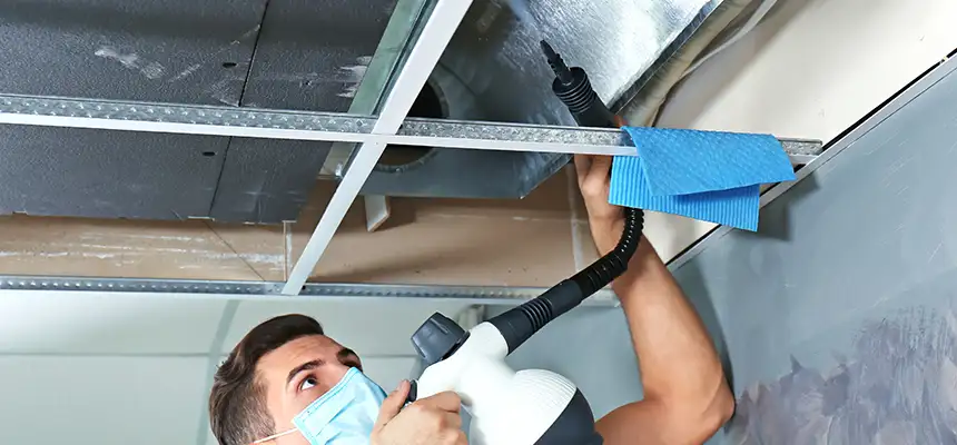 Our Air Duct Rodent Removal Services in Dolton, IL