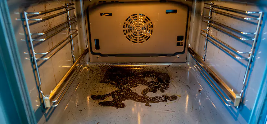 Our Dryer Vent Mold Cleaning Services in Dolton, IL