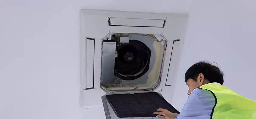 Our Dryer Vent Sanitization Service Services in Dolton, IL