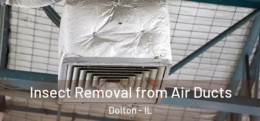  Insect Removal from Air Ducts Dolton - IL