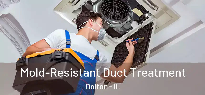  Mold-Resistant Duct Treatment Dolton - IL