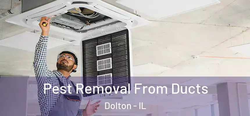  Pest Removal From Ducts Dolton - IL