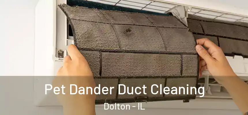  Pet Dander Duct Cleaning Dolton - IL