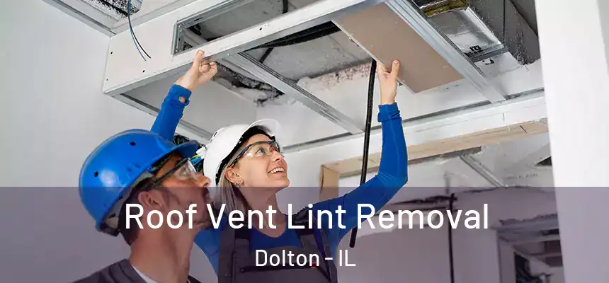  Roof Vent Lint Removal Dolton - IL