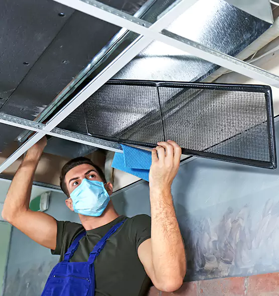 About Air Duct Bacteria Removal in Dolton