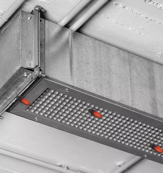 About Air Duct Cockroach Removal in Dolton, IL