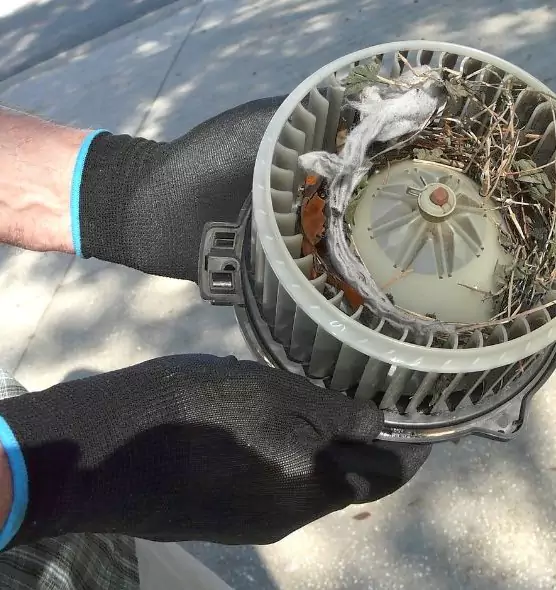 About Air Duct Mice Removal in Dolton, IL