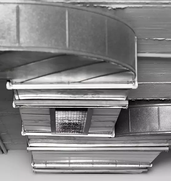 Professional Air Duct Pest Removal in Dolton, IL