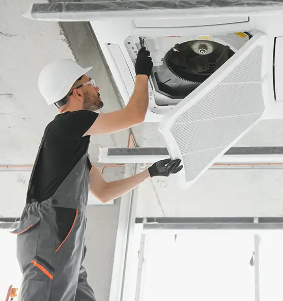 About Air Duct Rodent Removal in Dolton, IL