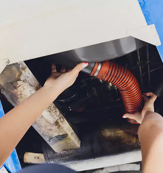About Air Duct Virus Disinfection in Dolton, IL