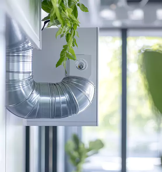 Professional Eco-Friendly Duct Cleaning Services in Dolton, IL