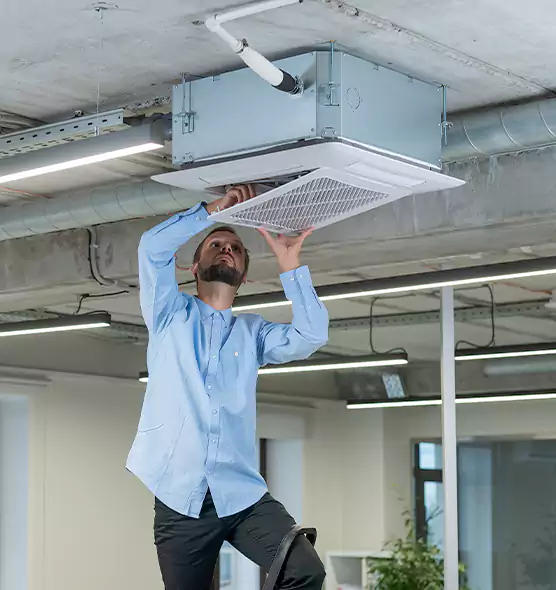 Advanced Rodent Droppings In Vents in Dolton, IL