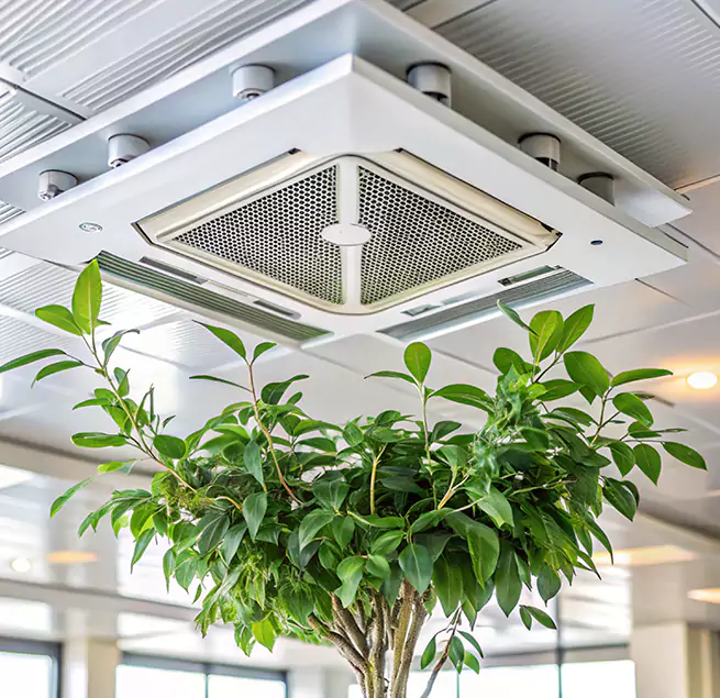 Why Homeowners & Businesses Trust Us in Dolton, IL?