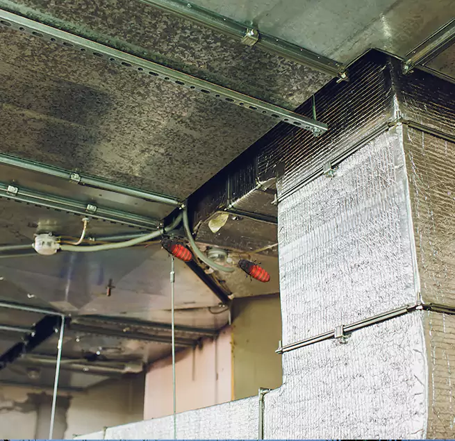 Why Homeowners & Businesses Trust Us Dolton, IL?