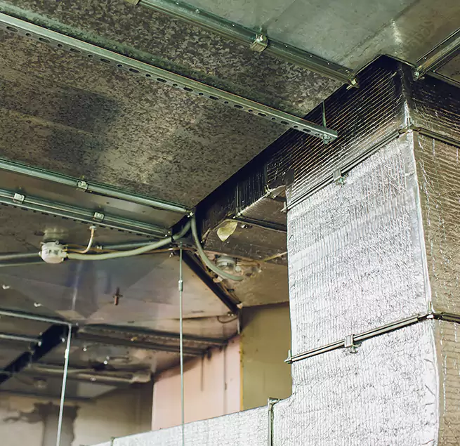 Why Homeowners & Businesses Trust Us in Dolton, IL?