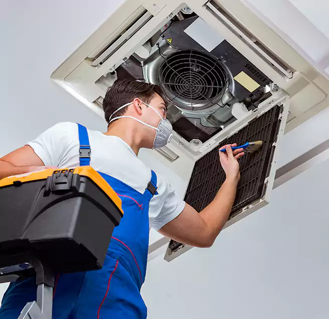 Why Homeowners & Businesses Trust Us in Dolton, IL?